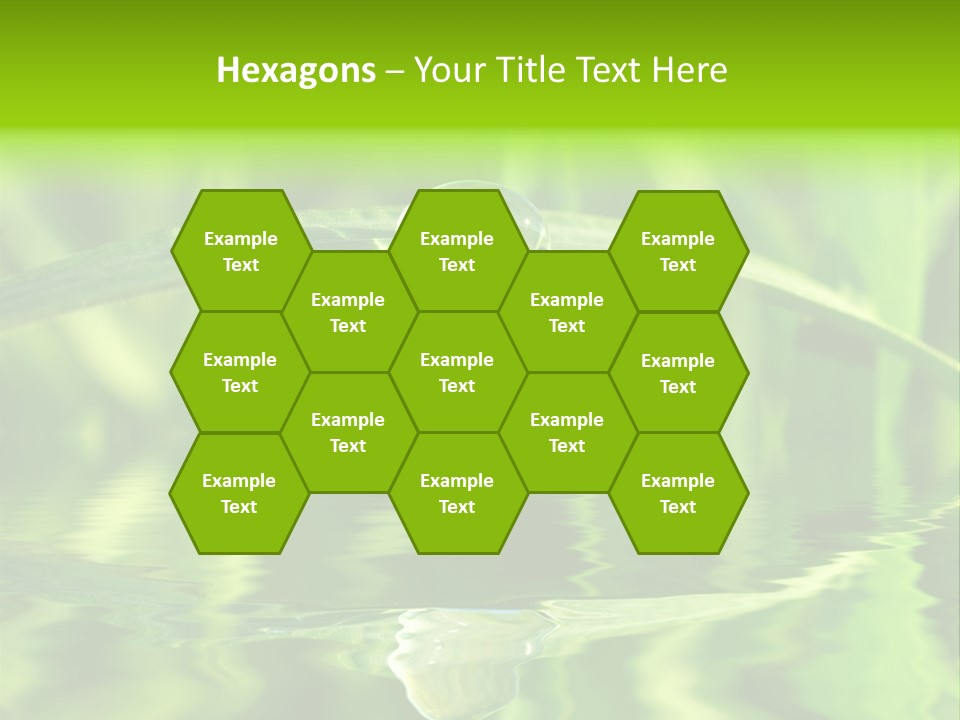 Leaves Liquid Outdoors PowerPoint Template