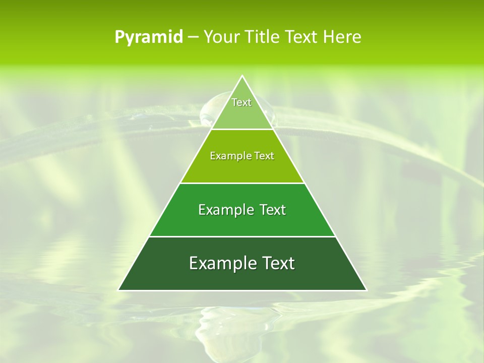 Leaves Liquid Outdoors PowerPoint Template