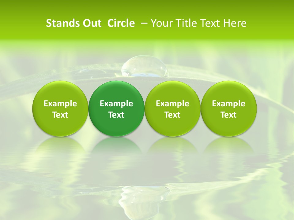 Leaves Liquid Outdoors PowerPoint Template