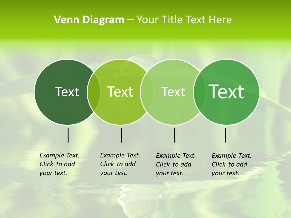 Leaves Liquid Outdoors PowerPoint Template