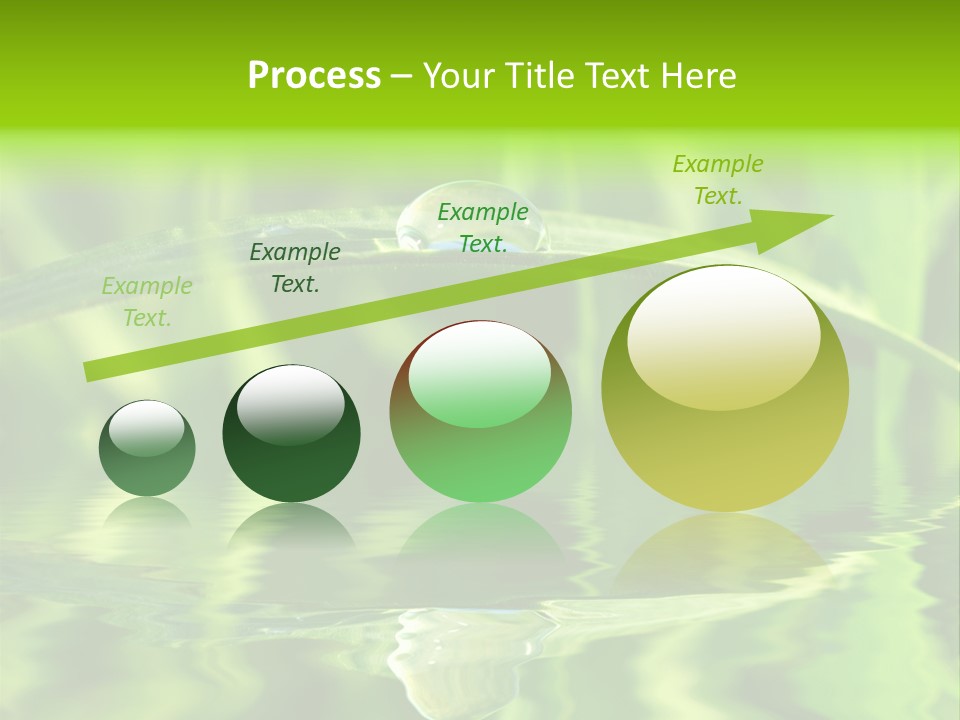 Leaves Liquid Outdoors PowerPoint Template