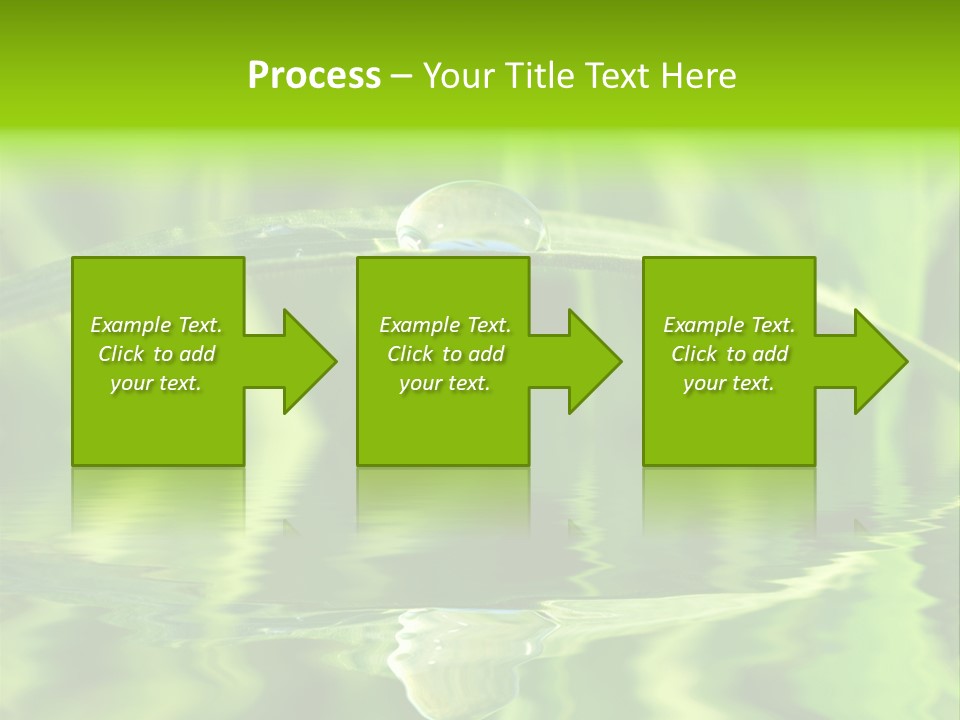 Leaves Liquid Outdoors PowerPoint Template