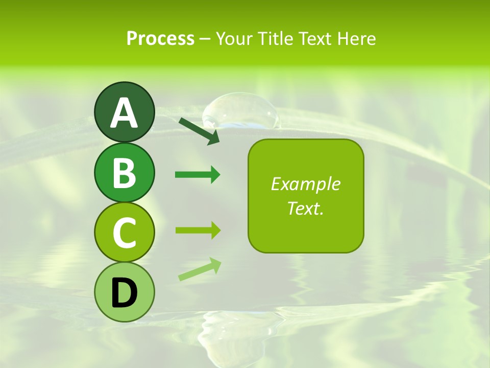 Leaves Liquid Outdoors PowerPoint Template