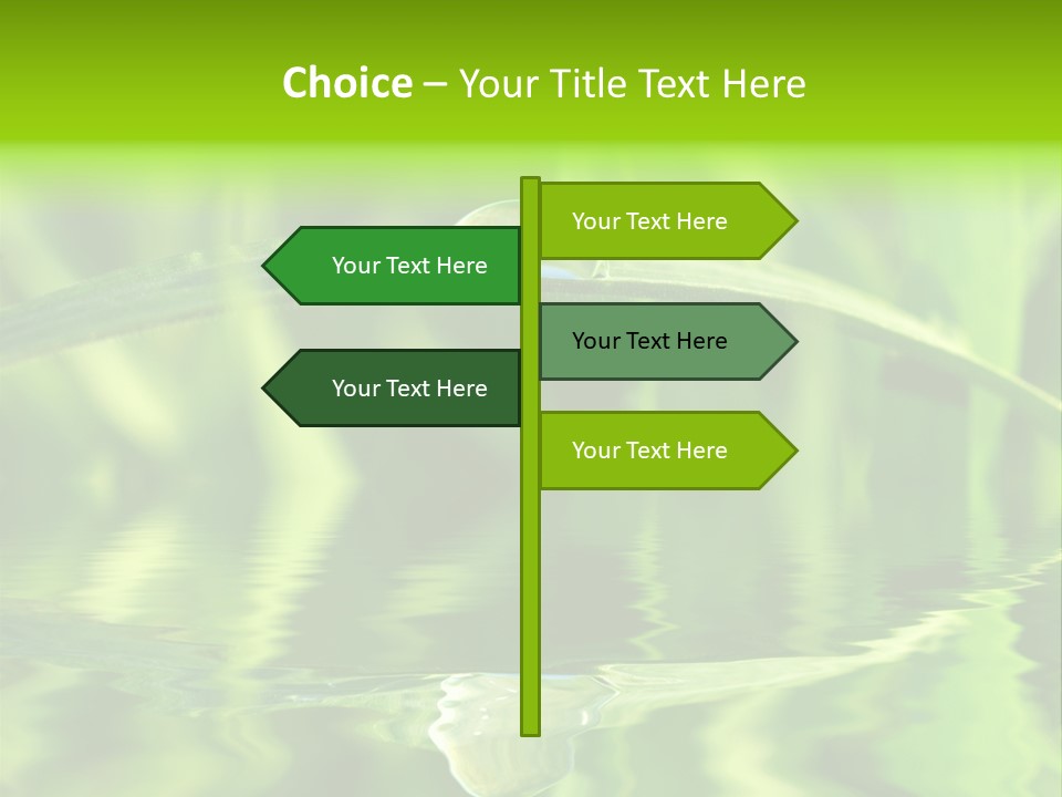 Leaves Liquid Outdoors PowerPoint Template