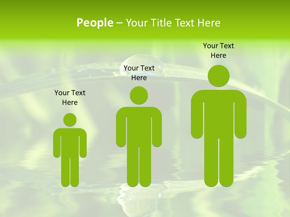 Leaves Liquid Outdoors PowerPoint Template