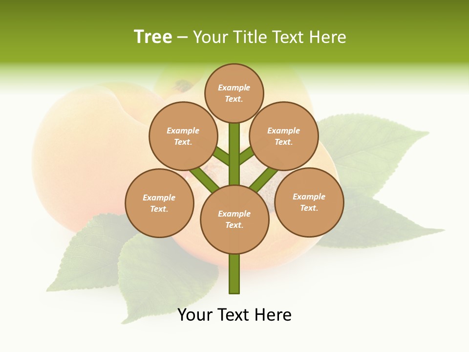 Ecosse - Sky PowerPoint Template
