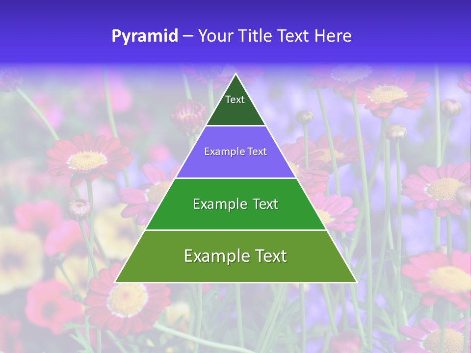 Mai Blumenbeet Liebe PowerPoint Template