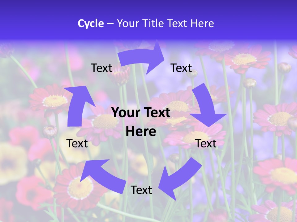 Mai Blumenbeet Liebe PowerPoint Template