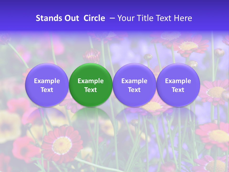 Mai Blumenbeet Liebe PowerPoint Template