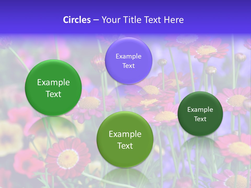 Mai Blumenbeet Liebe PowerPoint Template