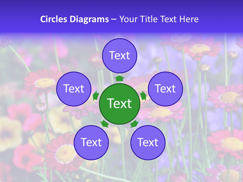 Mai Blumenbeet Liebe PowerPoint Template