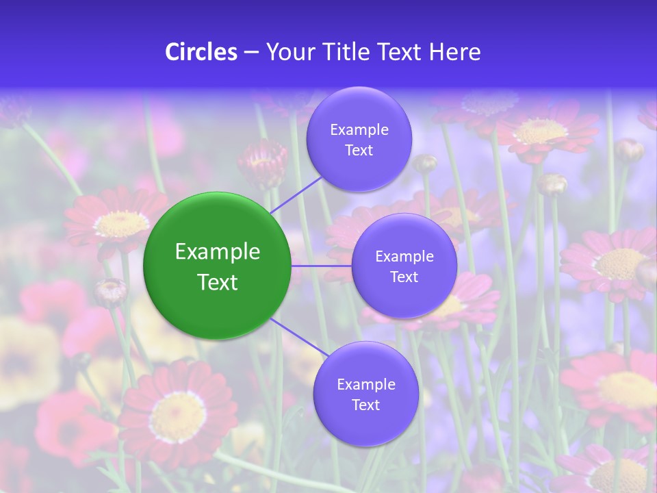 Mai Blumenbeet Liebe PowerPoint Template