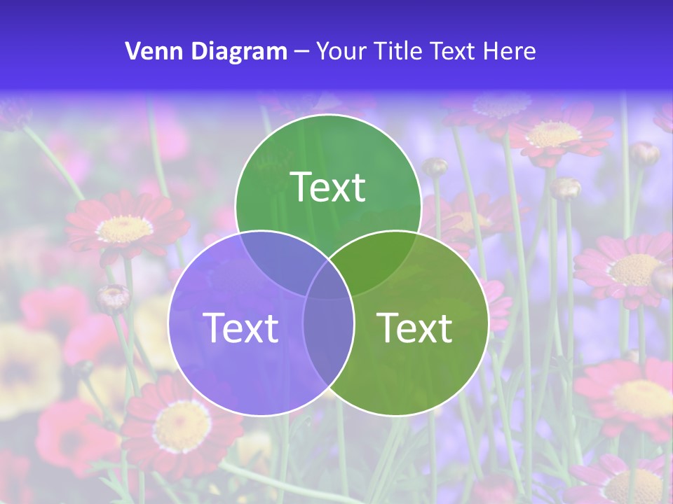 Mai Blumenbeet Liebe PowerPoint Template