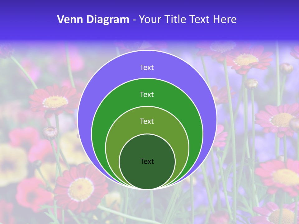 Mai Blumenbeet Liebe PowerPoint Template