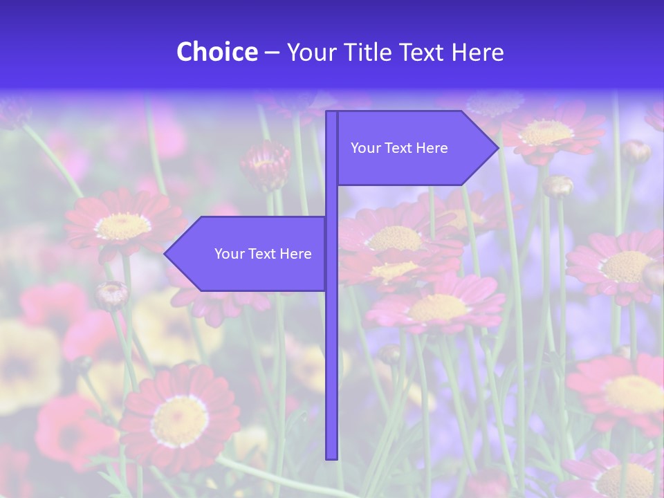 Mai Blumenbeet Liebe PowerPoint Template