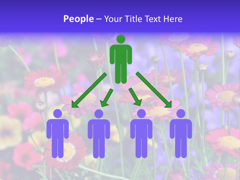 Mai Blumenbeet Liebe PowerPoint Template