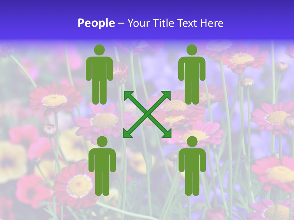 Mai Blumenbeet Liebe PowerPoint Template