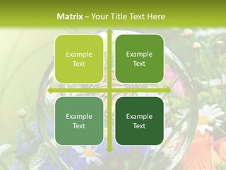 Alternative Forschung Naturheilkunde PowerPoint Template