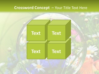 Alternative Forschung Naturheilkunde PowerPoint Template