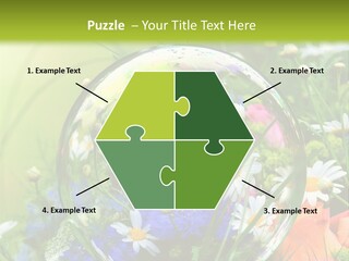 Alternative Forschung Naturheilkunde PowerPoint Template