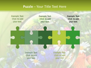 Alternative Forschung Naturheilkunde PowerPoint Template