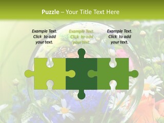 Alternative Forschung Naturheilkunde PowerPoint Template