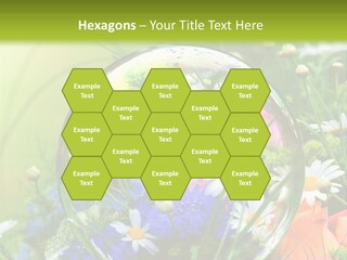 Alternative Forschung Naturheilkunde PowerPoint Template