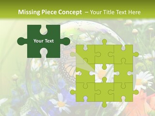 Alternative Forschung Naturheilkunde PowerPoint Template