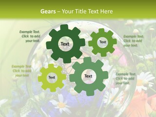 Alternative Forschung Naturheilkunde PowerPoint Template