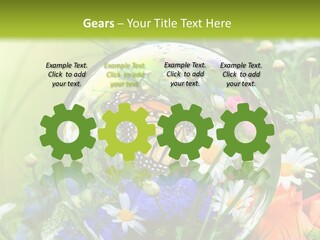 Alternative Forschung Naturheilkunde PowerPoint Template