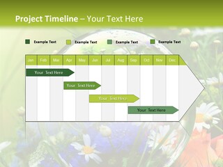 Alternative Forschung Naturheilkunde PowerPoint Template