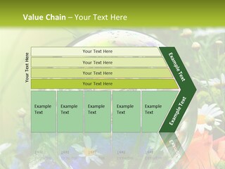 Alternative Forschung Naturheilkunde PowerPoint Template