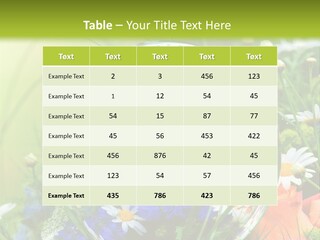 Alternative Forschung Naturheilkunde PowerPoint Template