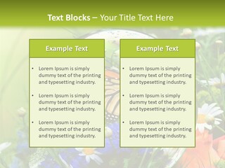 Alternative Forschung Naturheilkunde PowerPoint Template