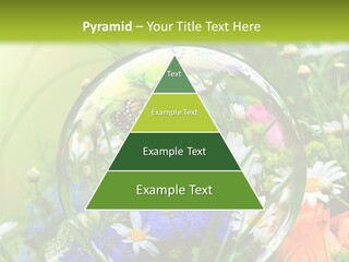 Alternative Forschung Naturheilkunde PowerPoint Template