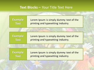 Alternative Forschung Naturheilkunde PowerPoint Template