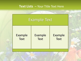 Alternative Forschung Naturheilkunde PowerPoint Template