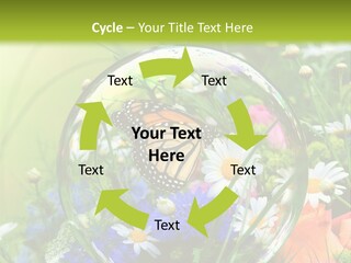 Alternative Forschung Naturheilkunde PowerPoint Template