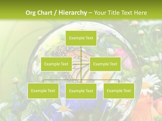 Alternative Forschung Naturheilkunde PowerPoint Template