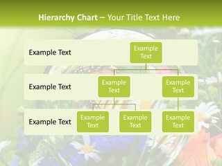 Alternative Forschung Naturheilkunde PowerPoint Template