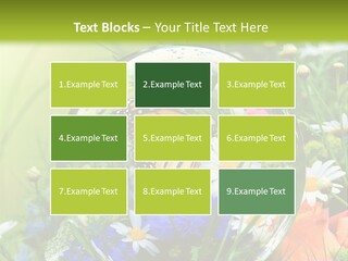 Alternative Forschung Naturheilkunde PowerPoint Template