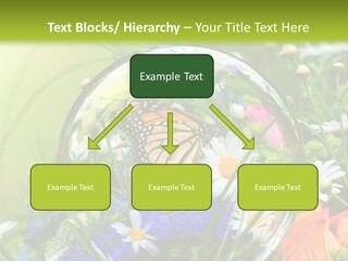 Alternative Forschung Naturheilkunde PowerPoint Template