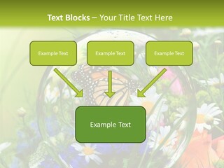 Alternative Forschung Naturheilkunde PowerPoint Template