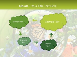 Alternative Forschung Naturheilkunde PowerPoint Template