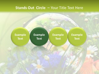 Alternative Forschung Naturheilkunde PowerPoint Template