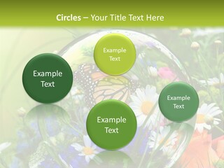 Alternative Forschung Naturheilkunde PowerPoint Template
