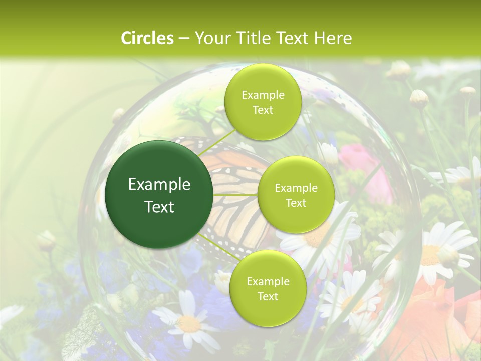 Alternative Forschung Naturheilkunde PowerPoint Template