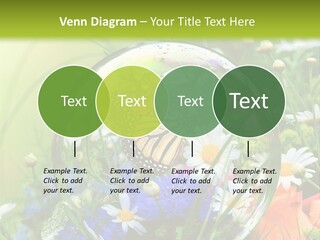 Alternative Forschung Naturheilkunde PowerPoint Template