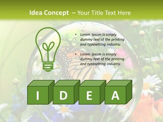 Alternative Forschung Naturheilkunde PowerPoint Template