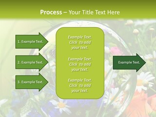 Alternative Forschung Naturheilkunde PowerPoint Template